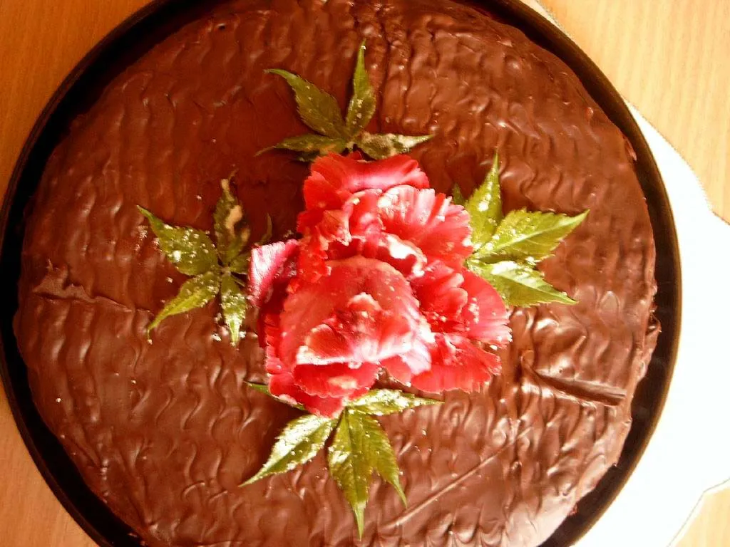 Tort Niby-sękacz