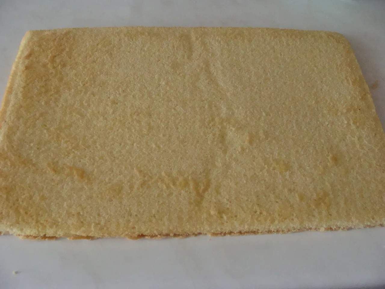 Biszkopt jasny