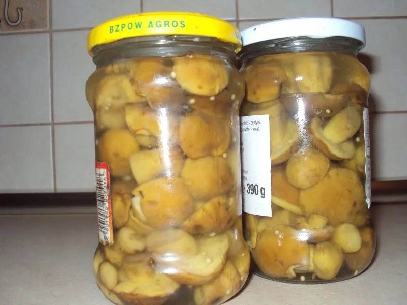 Marynowane grzybki