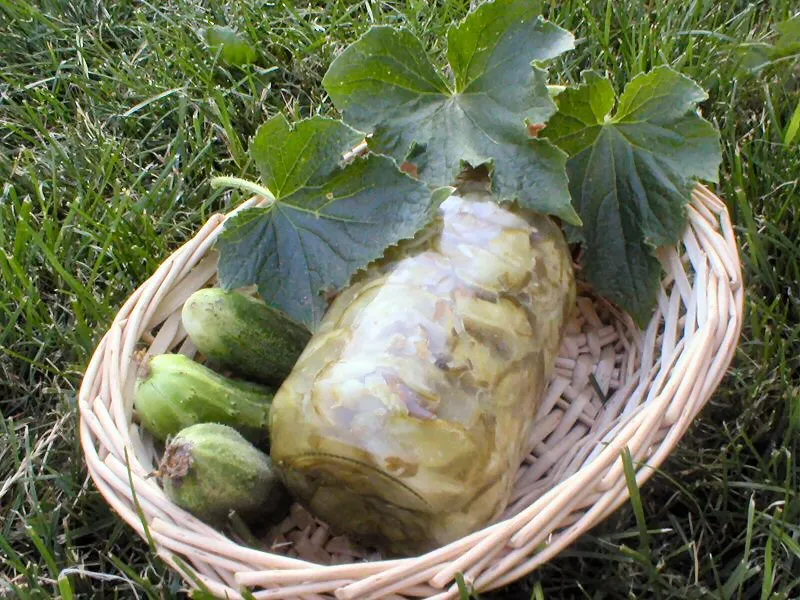 Sałatka z zielonych ogórków