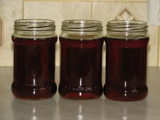 Syrop z mniszka - 11