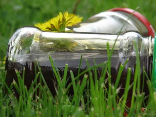 Syrop z mniszka - 3