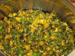 Syrop z mniszka - 6