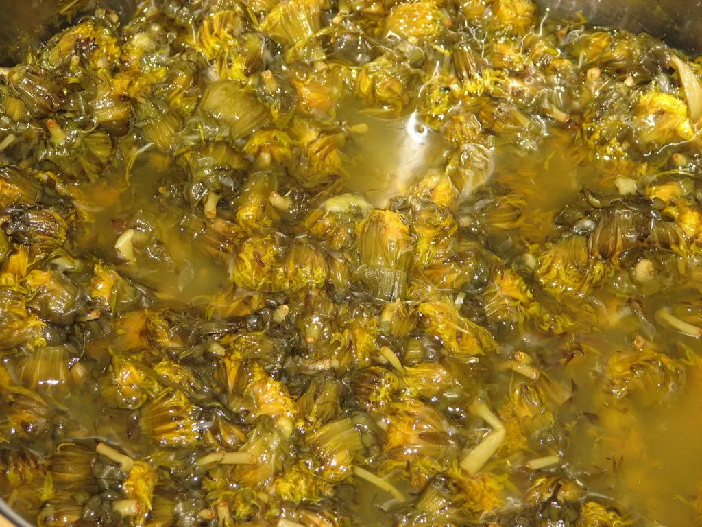 Syrop z mniszka