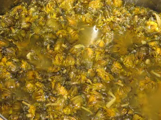 Syrop z mniszka - 7