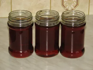 Syrop z mniszka - 10