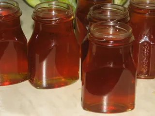 Syrop-miód z mlecza i goździków - 18