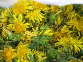 Syrop-miód z mlecza i goździków - 6