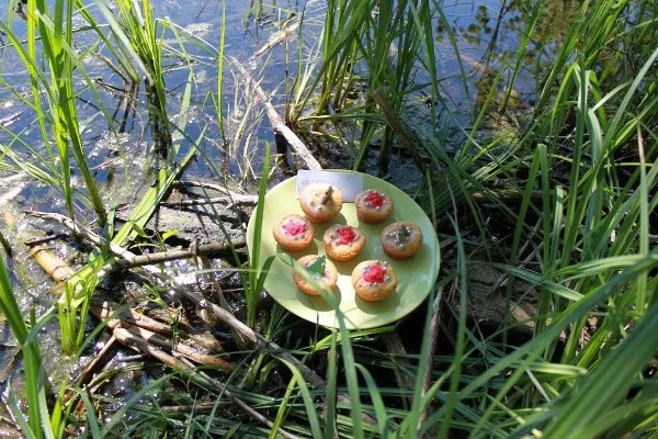 Muffiny śmietankowe