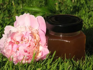 Syrop miodowo-sosnowy - 1