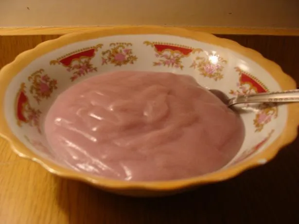 Budyń domowy