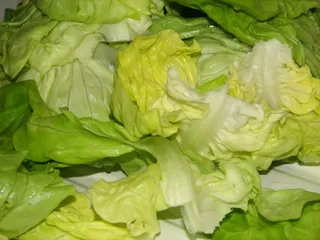 Zielona sałata w cebulowo-porowym sosie - 3