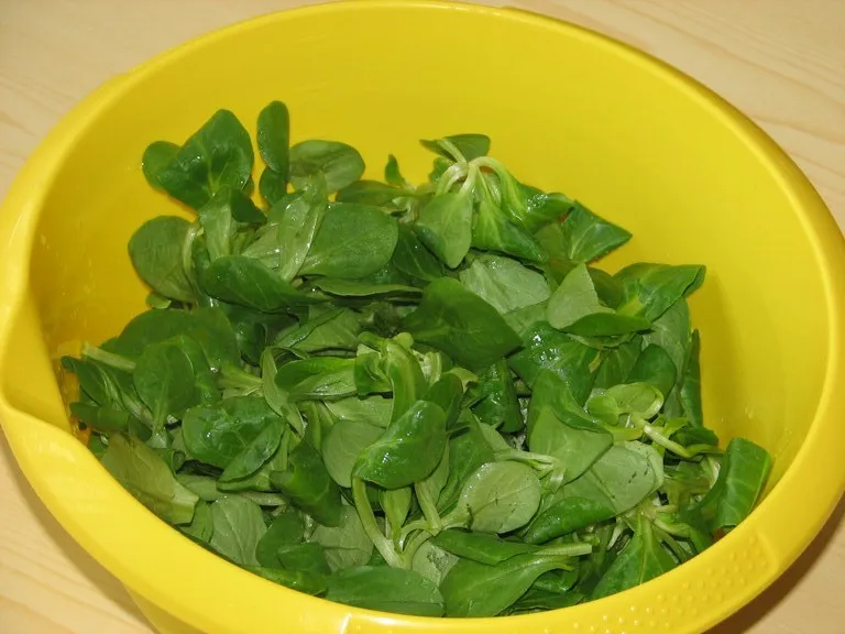 Lekka sałatka z roszponką, pomidorkami i mozzarellą