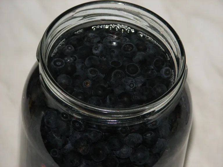 Nalewka jagodowa