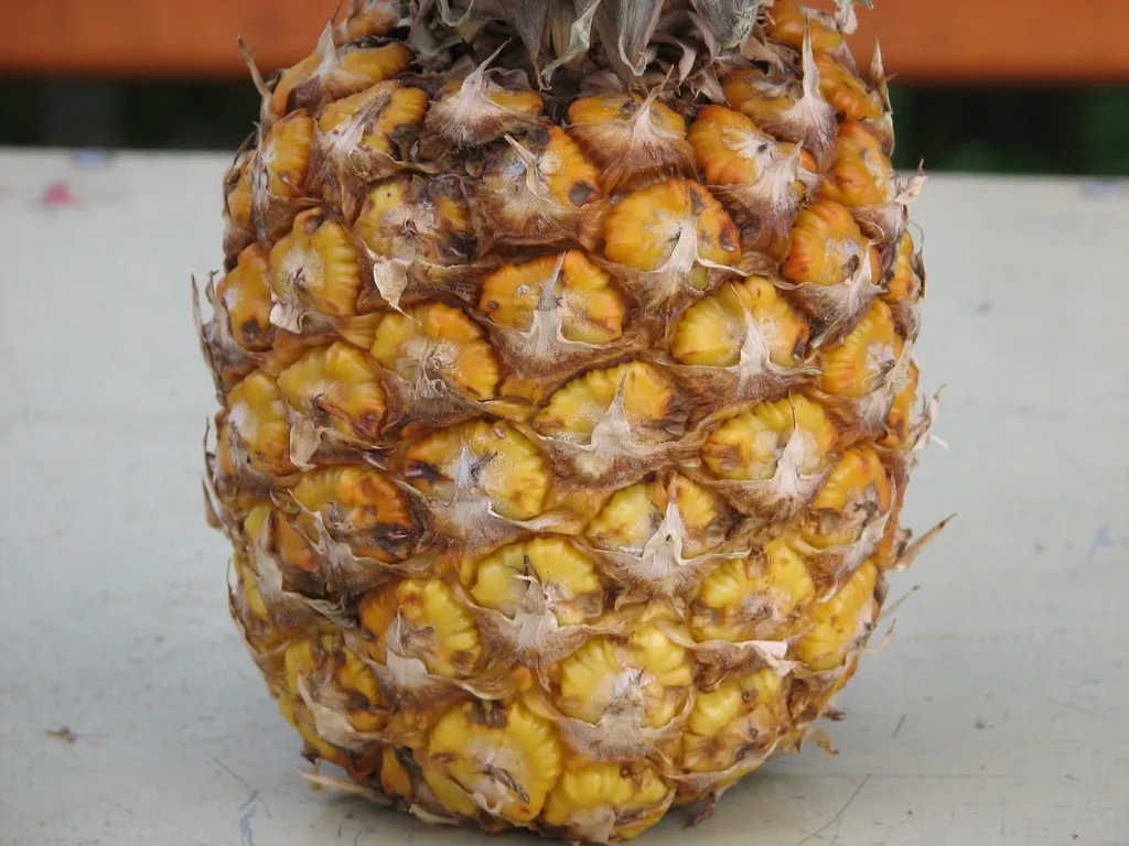 Grillowany ananas