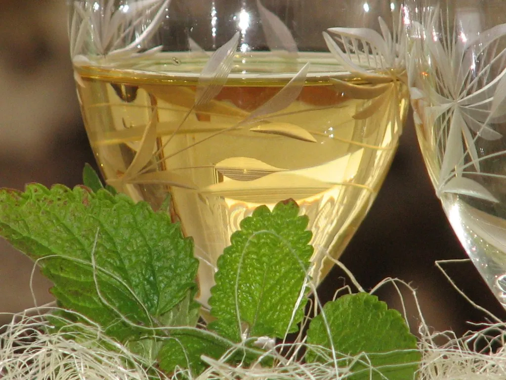 Melisowe wino