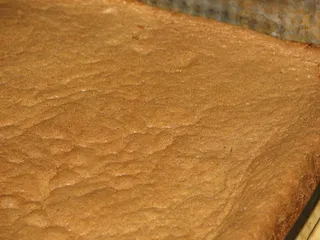 Biszkopt z masą piankową w galaretce - 3