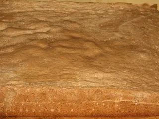 Kakaowiec przekładany - 5