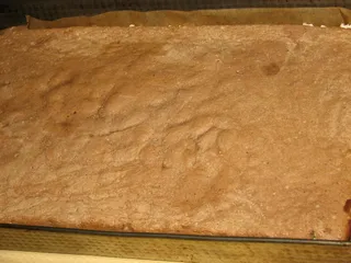 Kakaowiec przekładany - 8
