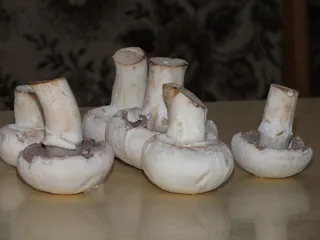 Kotlety mielone w pieczarkowej odsłonie - 4