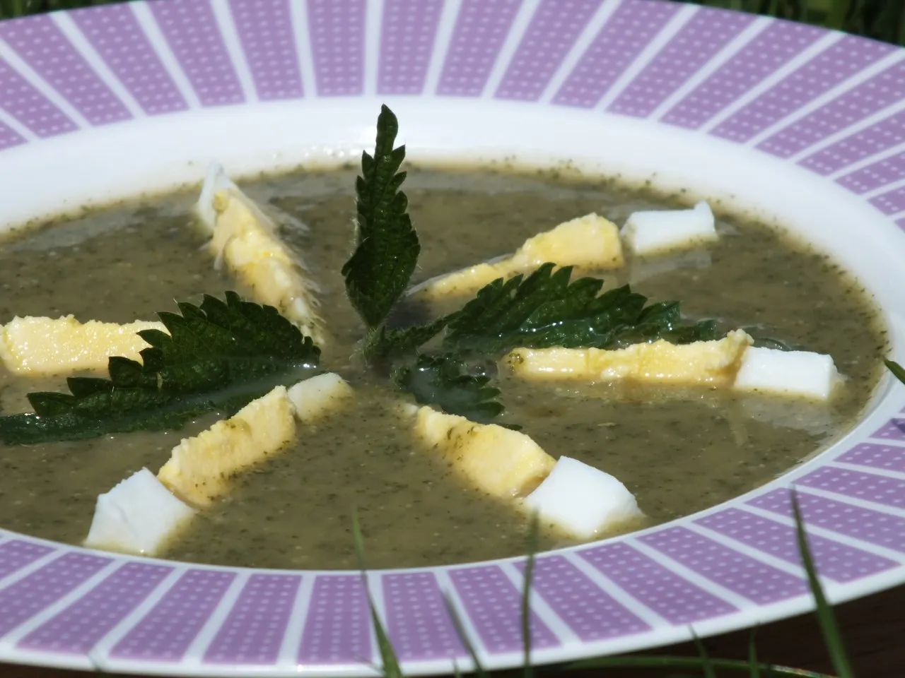 Zupa krem z pokrzyw