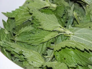 Zupa krem z pokrzyw - 9