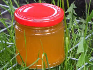 Syrop z mniszka lekarskiego - 1