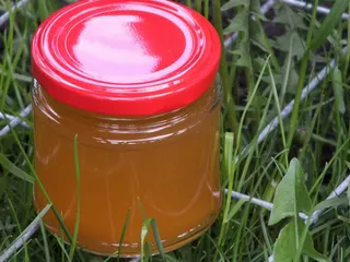 Syrop z mniszka lekarskiego - 2