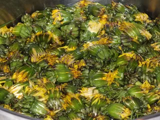 Syrop z mniszka lekarskiego - 8