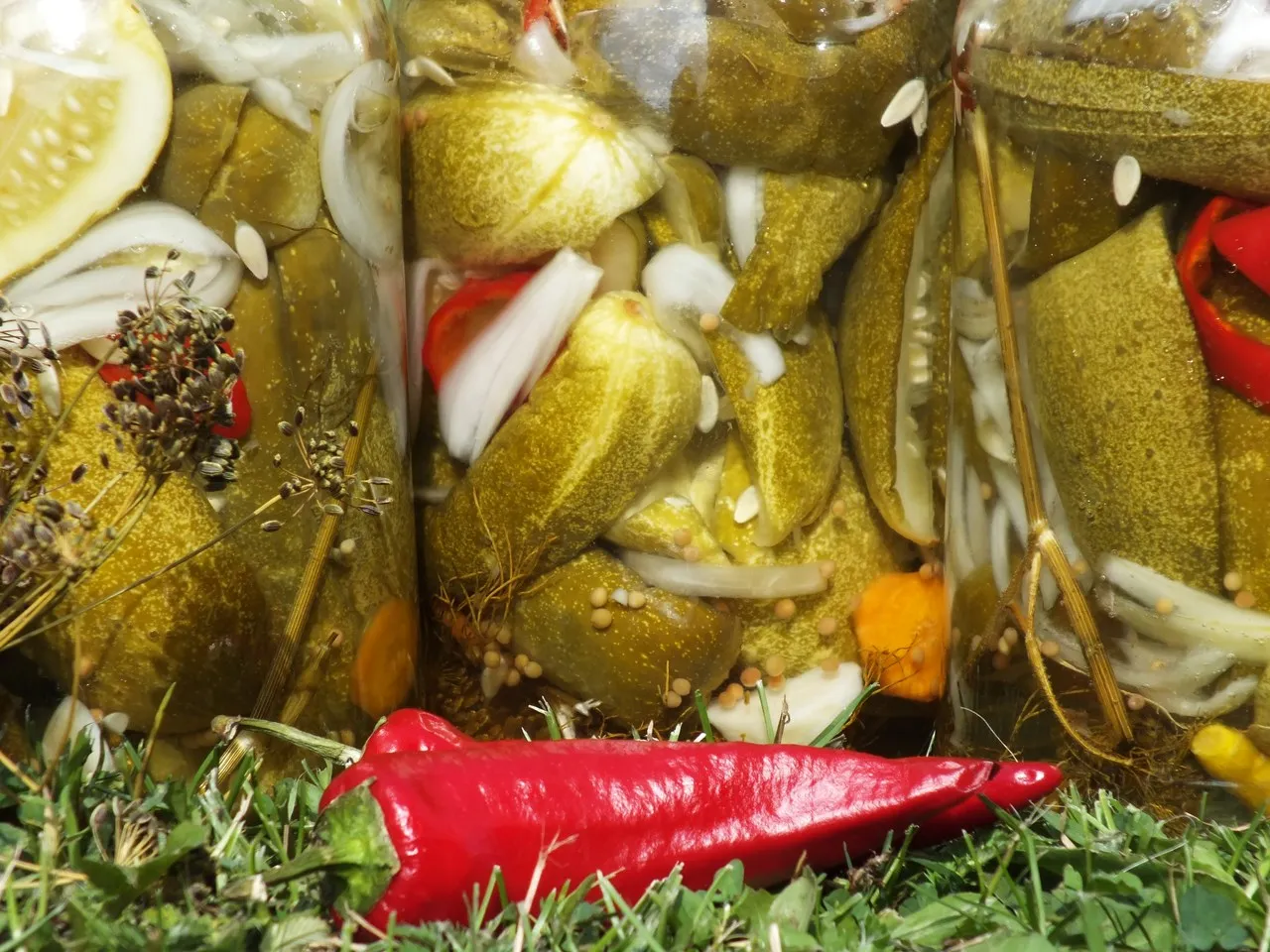 Ogórki na ostro z papryką chilli
