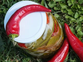 Ogórki na ostro z papryką chilli - 20