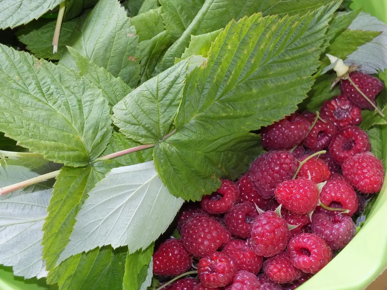 Wzmacniający syrop na zimę z cytrusową nutą