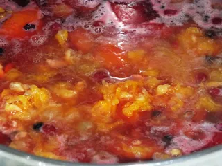 Rozgrzewający syrop winogronowy z dodatkami - 10