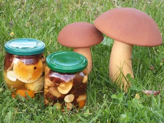 Podgrzybki w zalewie octowej - 2