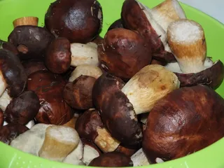 Podgrzybki w zalewie octowej - 6
