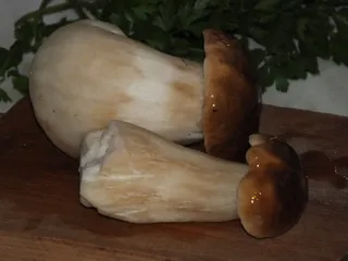 Jajecznica z grzybami leśnymi - 2