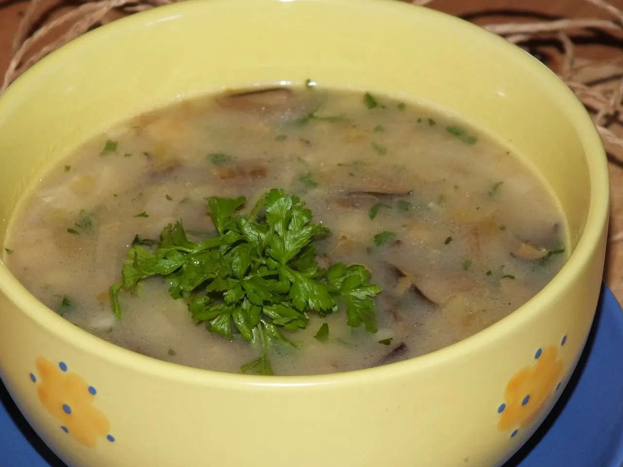 Zupa ze świeżych grzybów leśnych