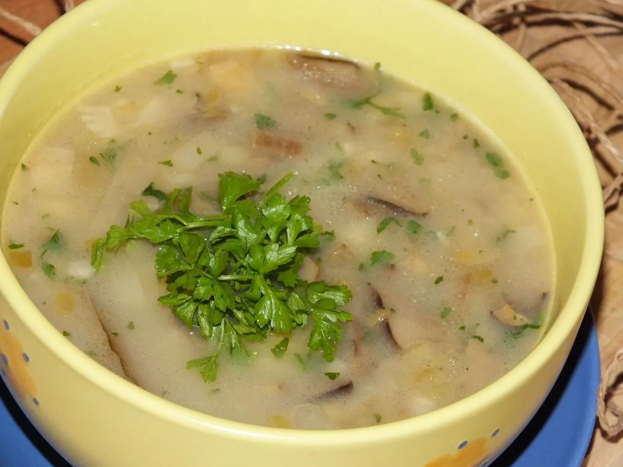 Zupa ze świeżych grzybów leśnych