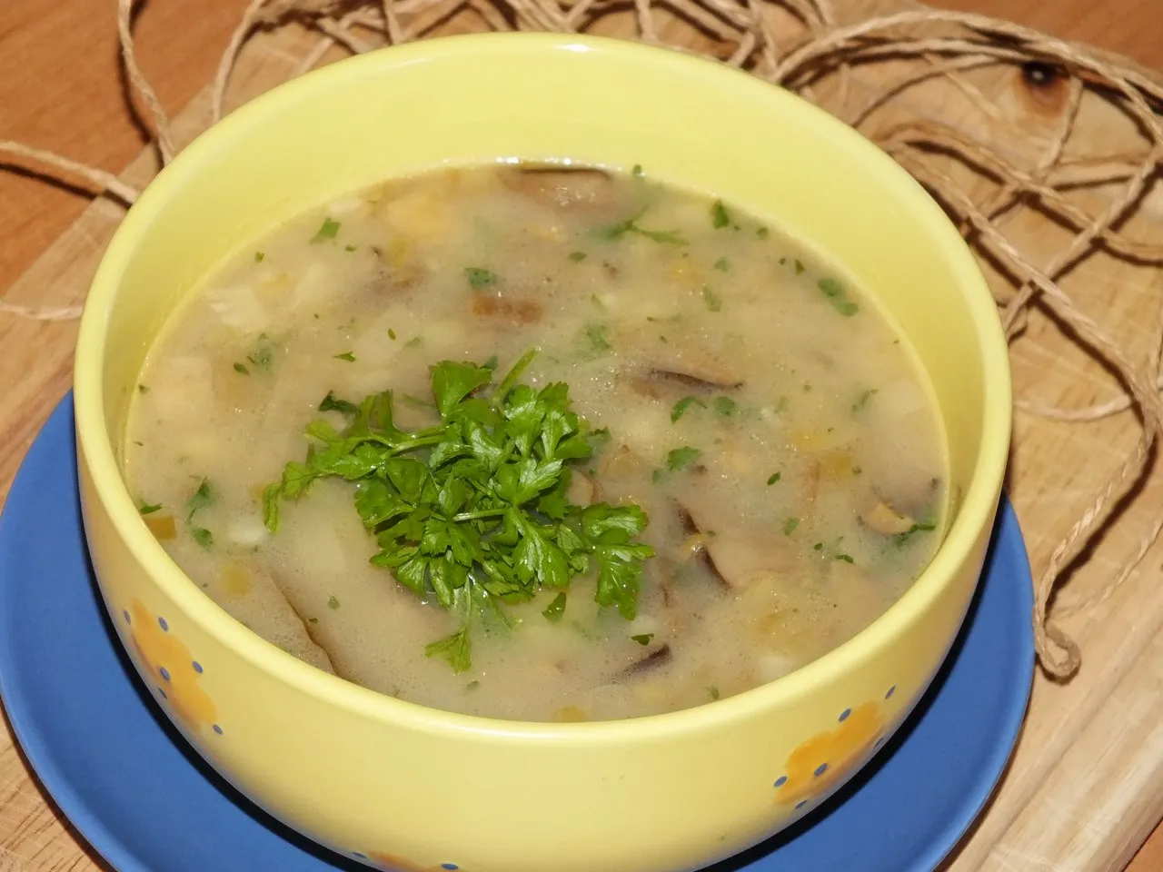 Zupa ze świeżych grzybów leśnych