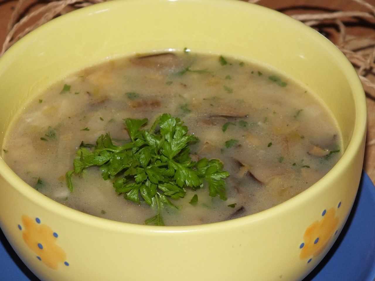 Zupa ze świeżych grzybów leśnych
