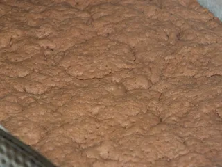 Kakaowa szarlotka z pomarańczowym akcentem - 8