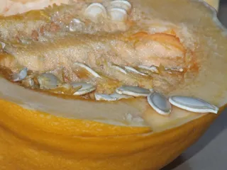 Warstwowe ciasto z kaszą manną i dynią - 5