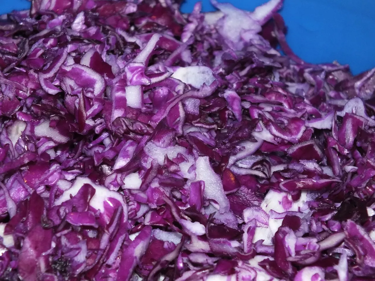 Kiszona czerwona kapusta