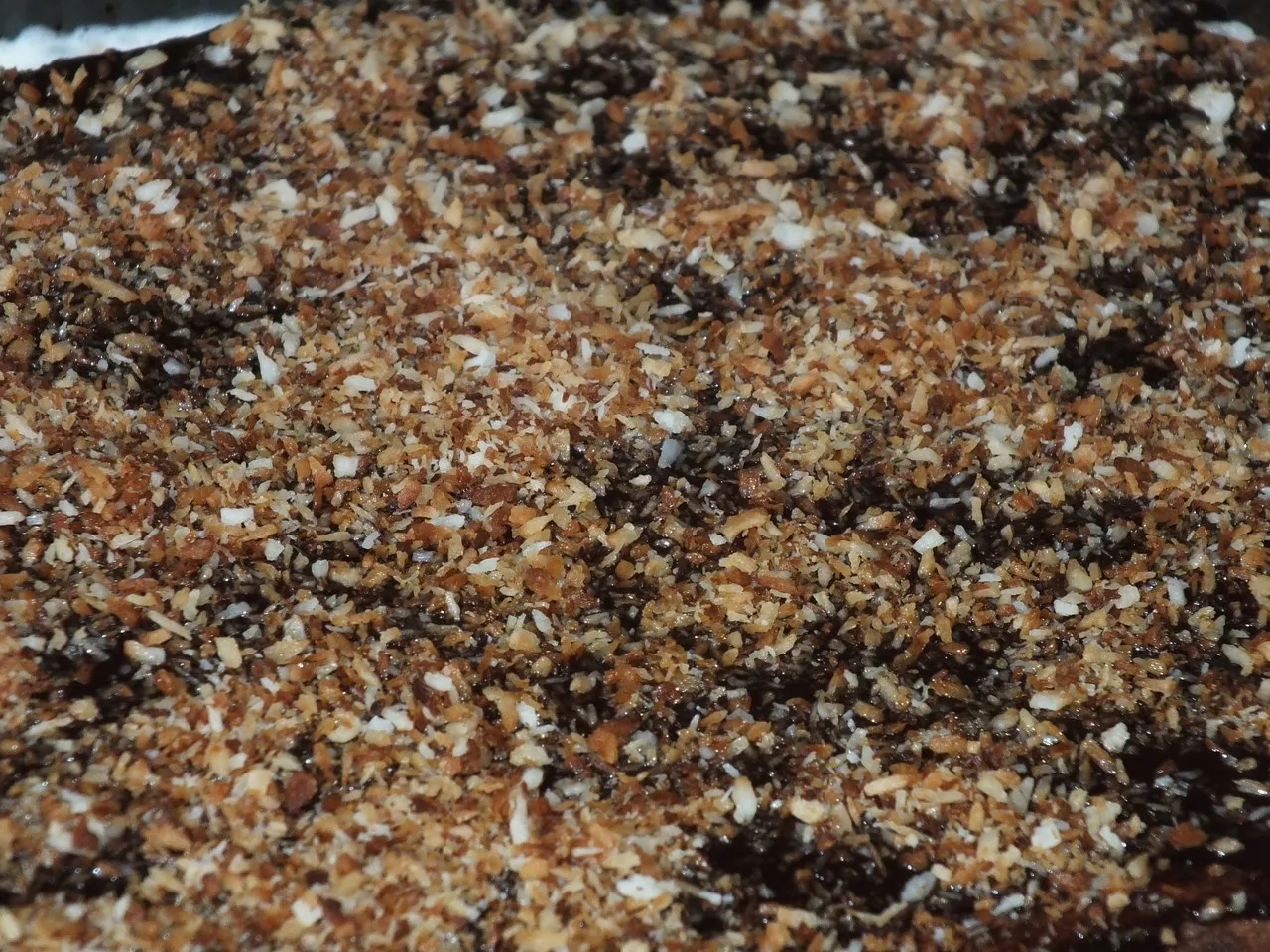 Ciasto cytrynowo-serowe - miękkie i orzeźwiające