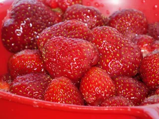 Ciasto śmietankowo-jogurtowe z truskawkami - 8