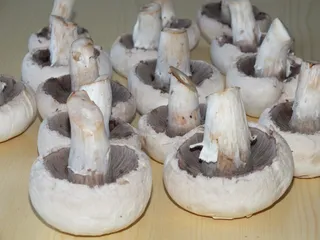Kotlety mielone w sosie pieczarkowym - 11