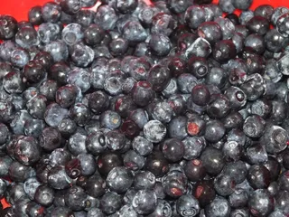 Ciasto rabarbarowe z ekstra pianką i jagodami - 11