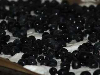 Ciasto rabarbarowe z ekstra pianką i jagodami - 13