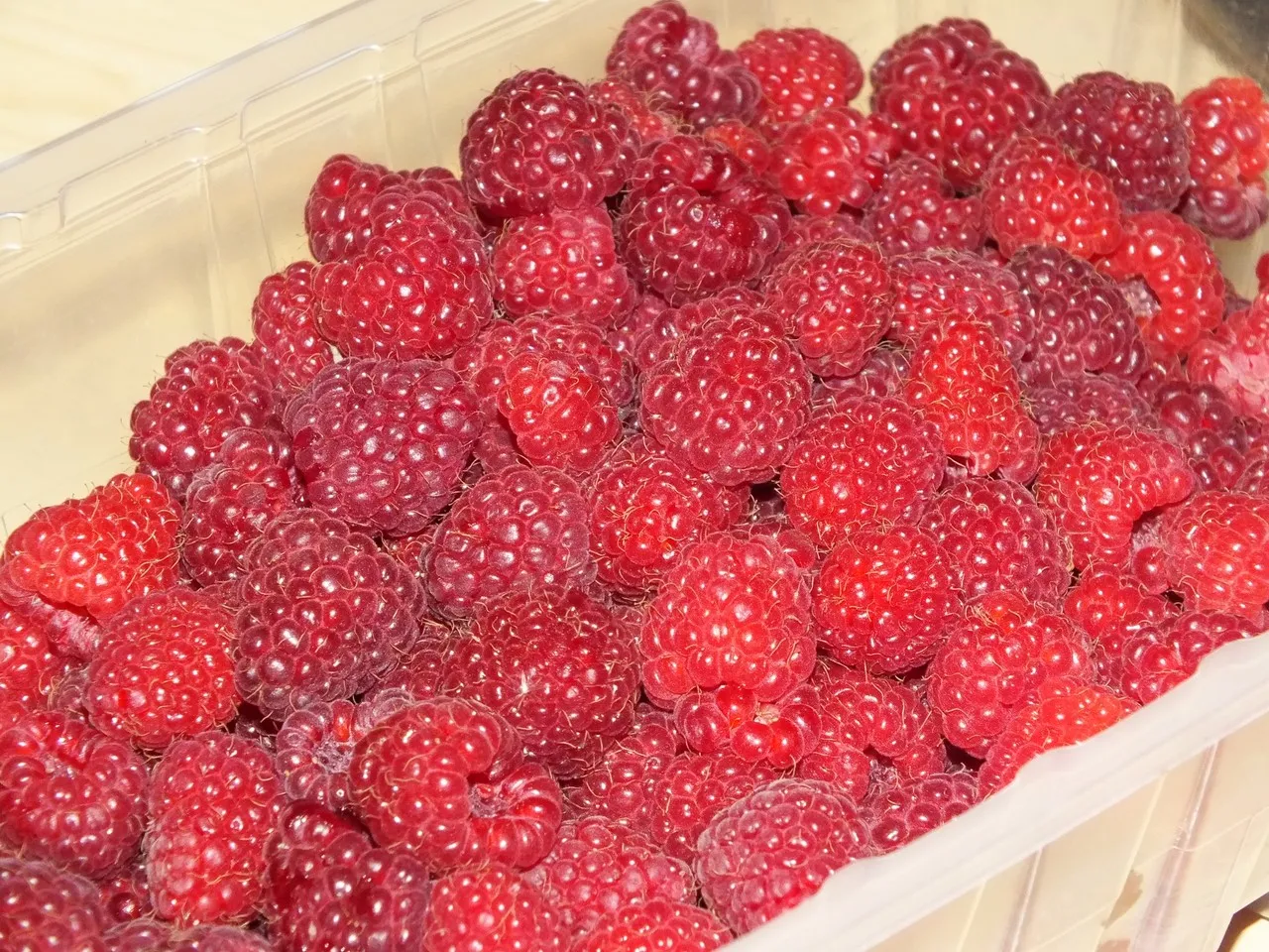 Kruche ciasto z masą piankową i malinami