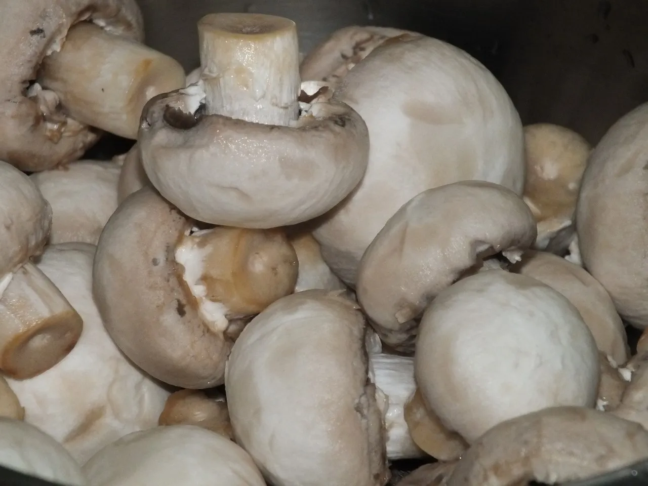 Zapiekanka makaronowa z boczkiem i pieczarkami